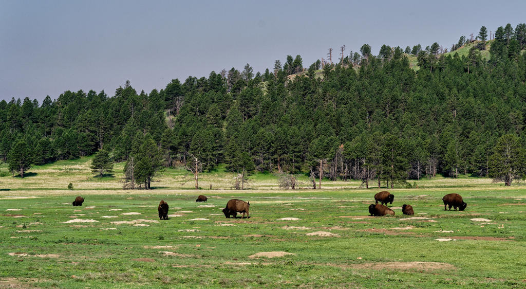 DSC_0167_DxO.jpg