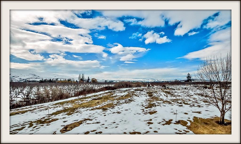 DSC_0168.jpg