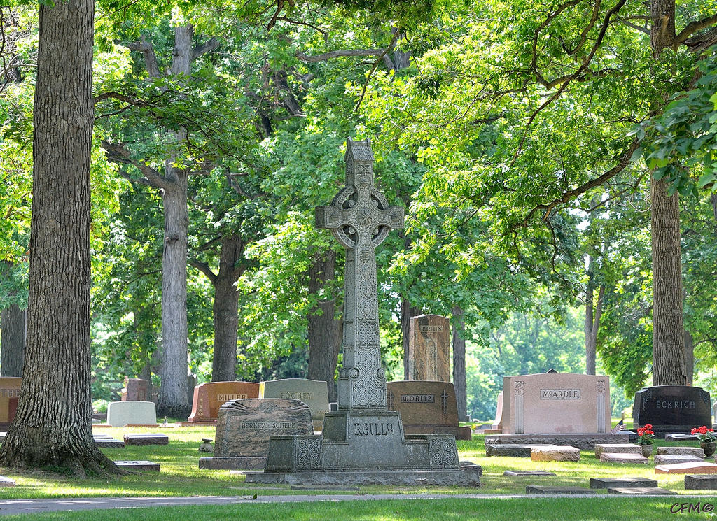 DSC_0168 nxd.jpg
