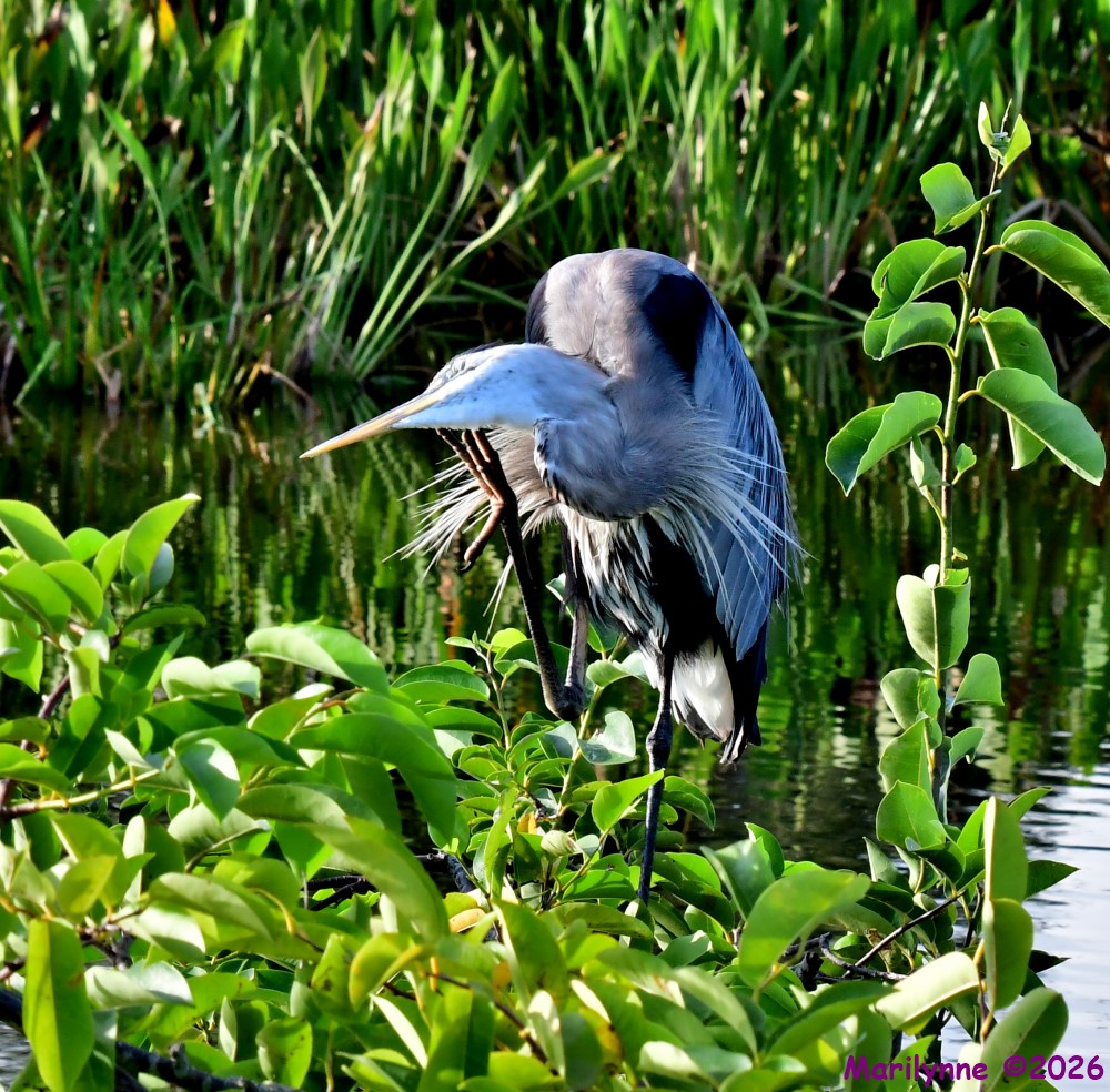 DSC_0174_001.JPG