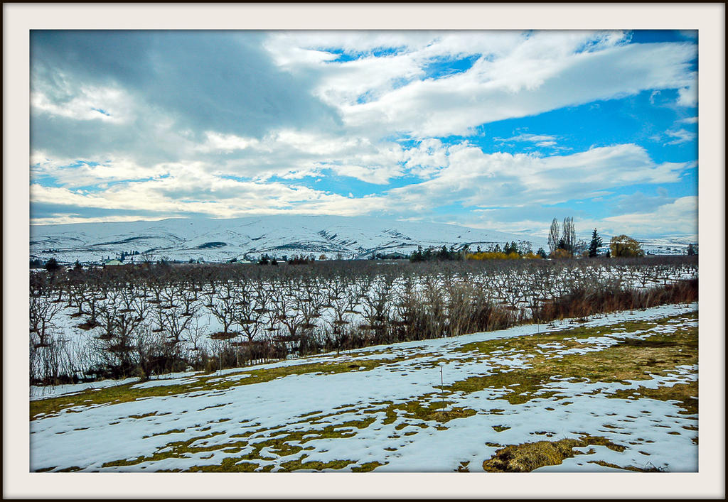 DSC_0175.jpg