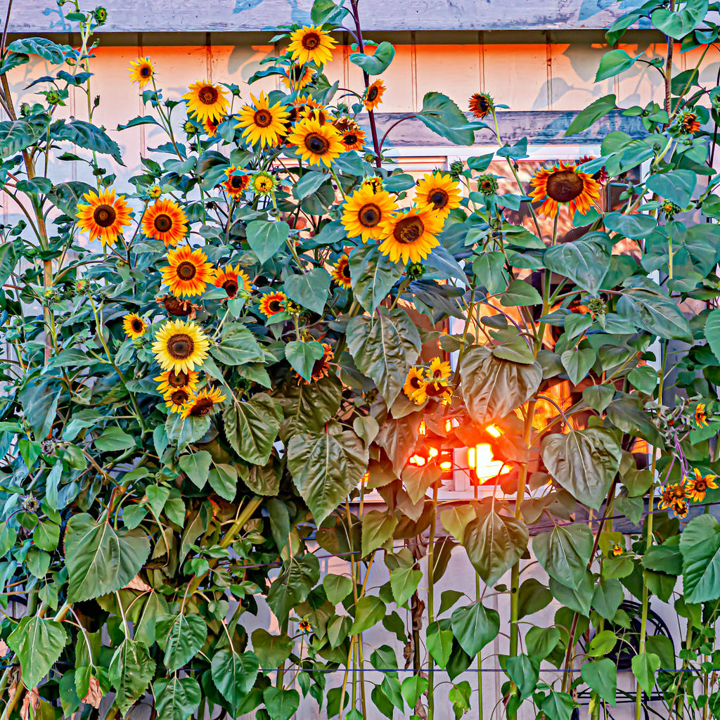 DSC_0176-Edit.jpg