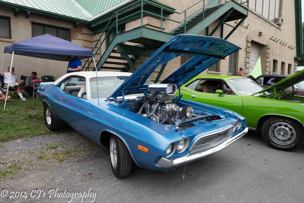 DSC_0181.jpg