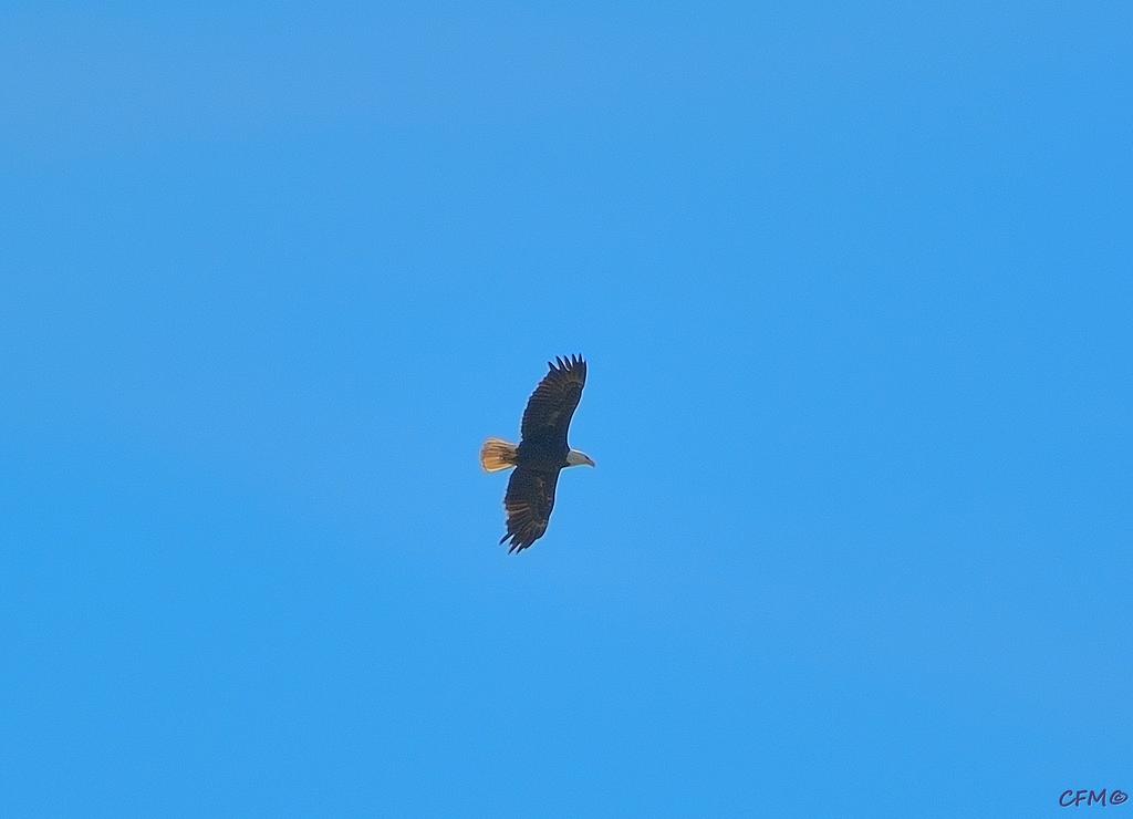 DSC_0183 nxd.jpg