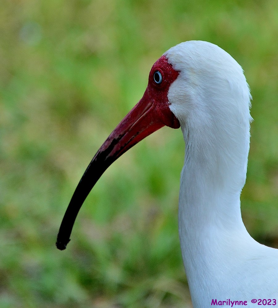 DSC_0187_001.JPG