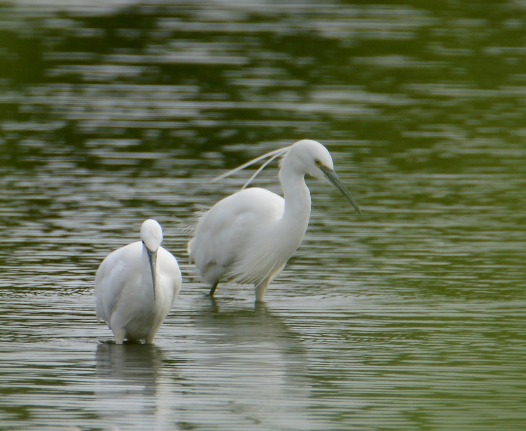 DSC_0189.jpg