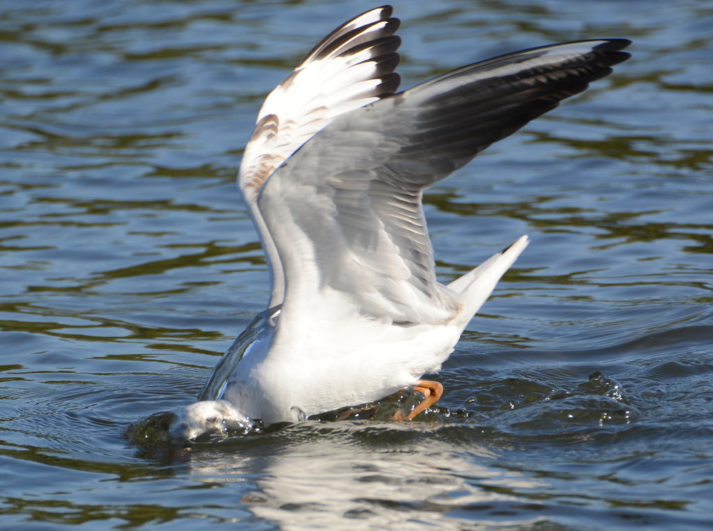 DSC_0189.jpg