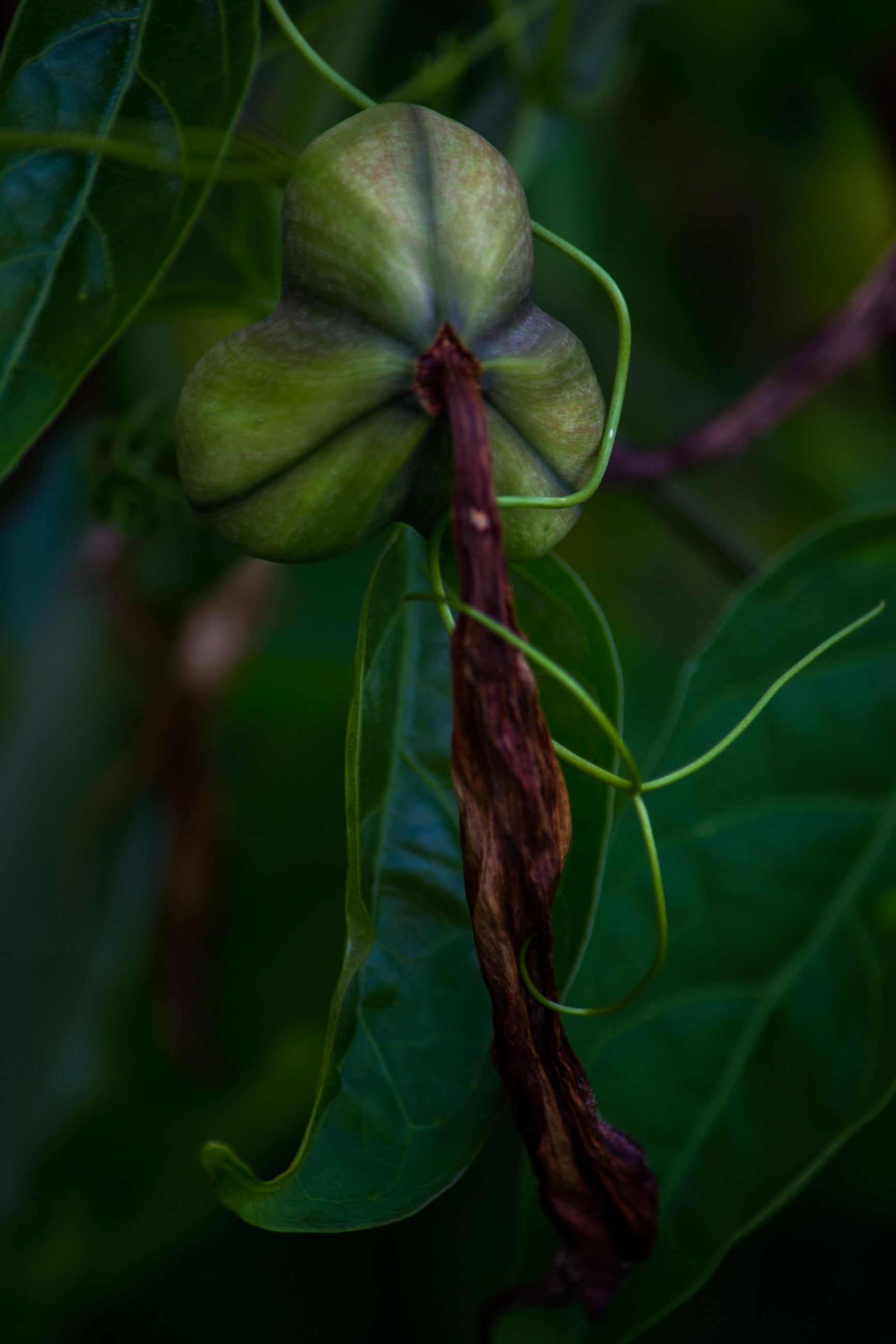 DSC_0190.jpg