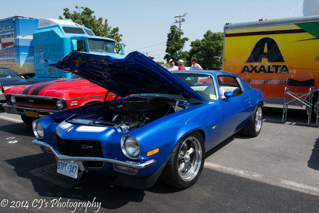 DSC_0194.jpg