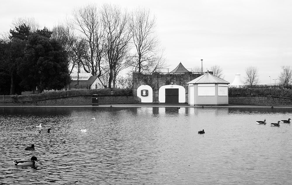 DSC_0195.jpg