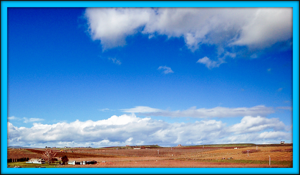 DSC_0196.jpg