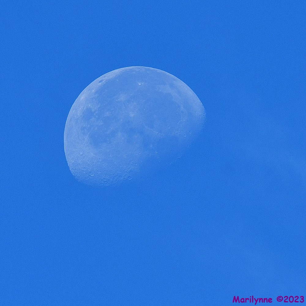 DSC_0196_001.JPG