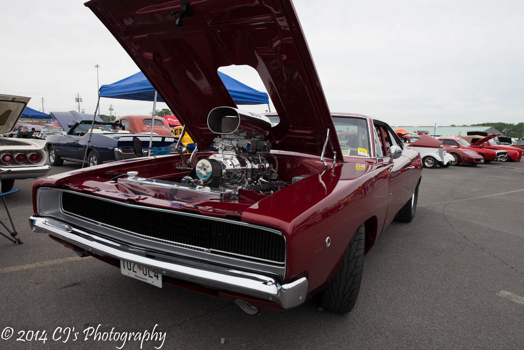 DSC_0197-2.jpg
