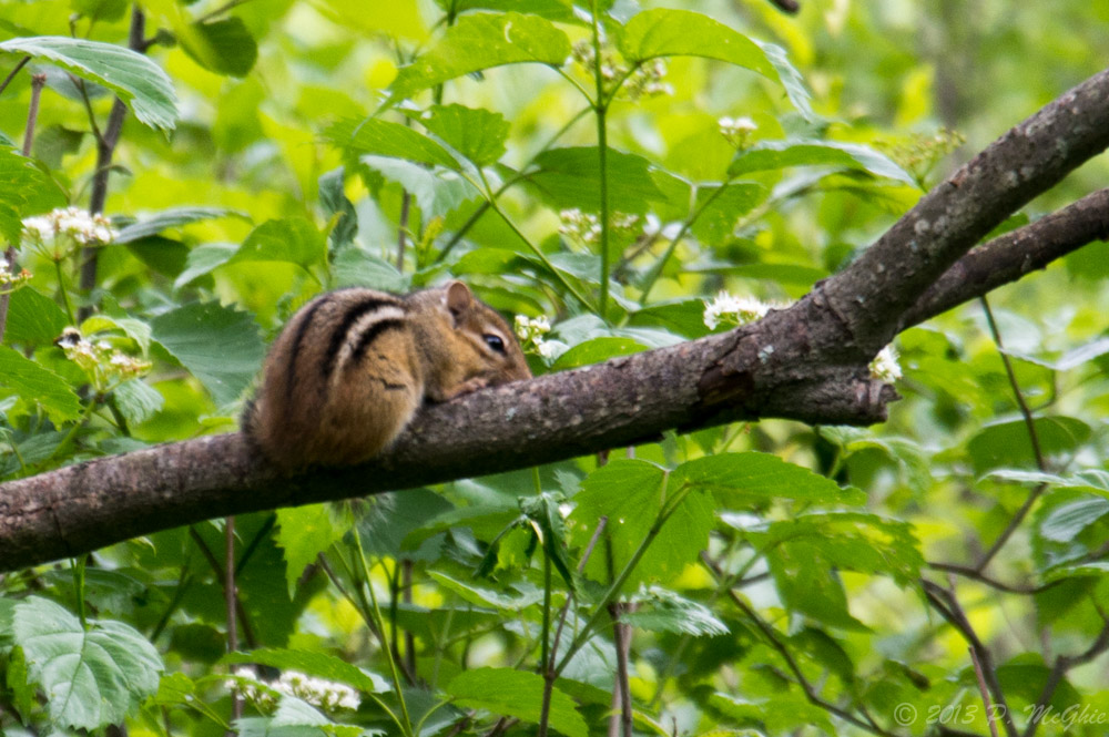DSC_0198.jpg