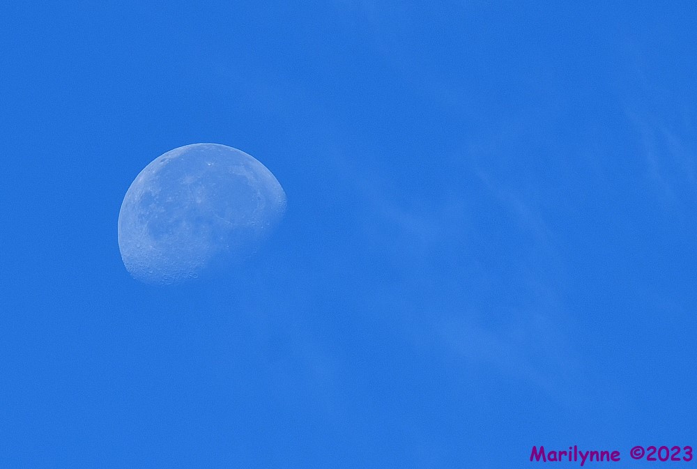 DSC_0198_001.JPG