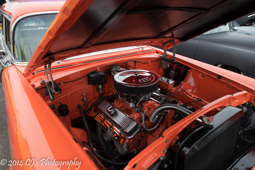 DSC_0199-2.jpg