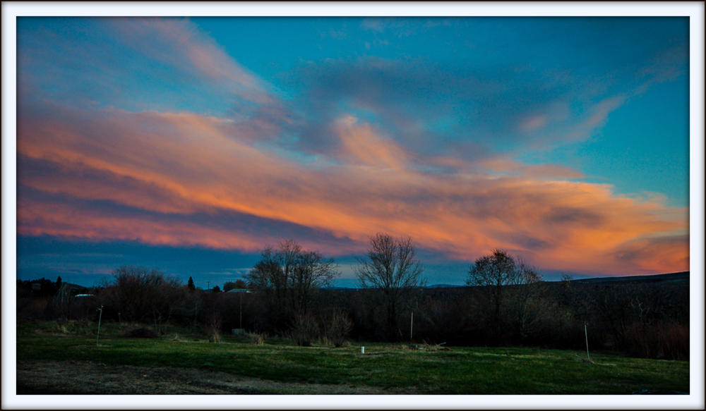 DSC_0200.jpg