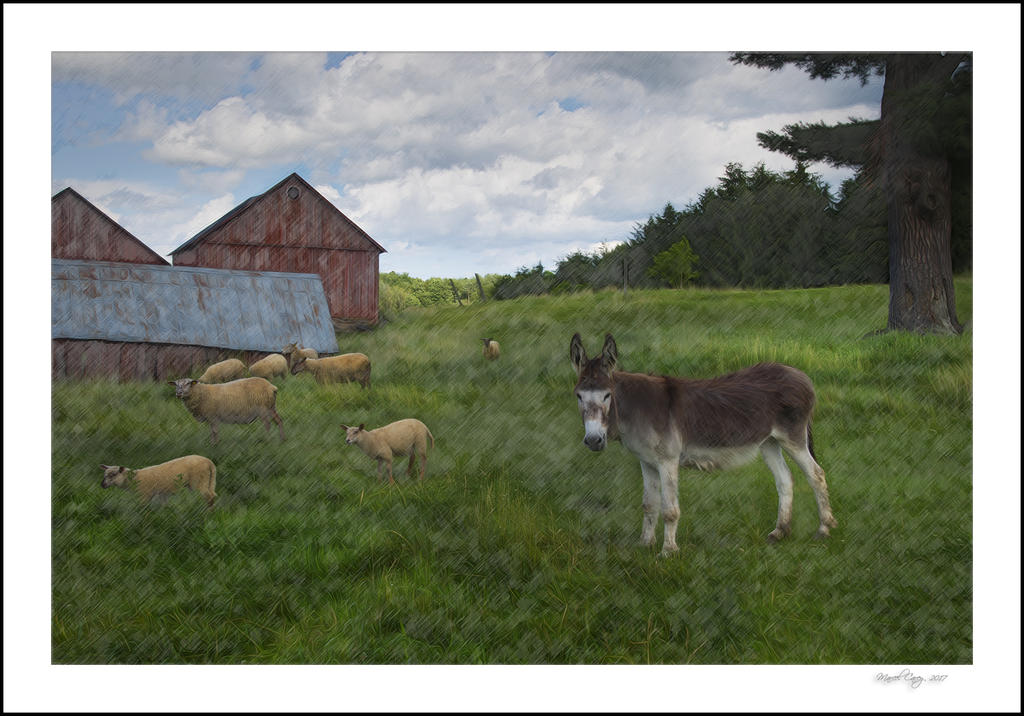 DSC_0200-Modifier.jpg