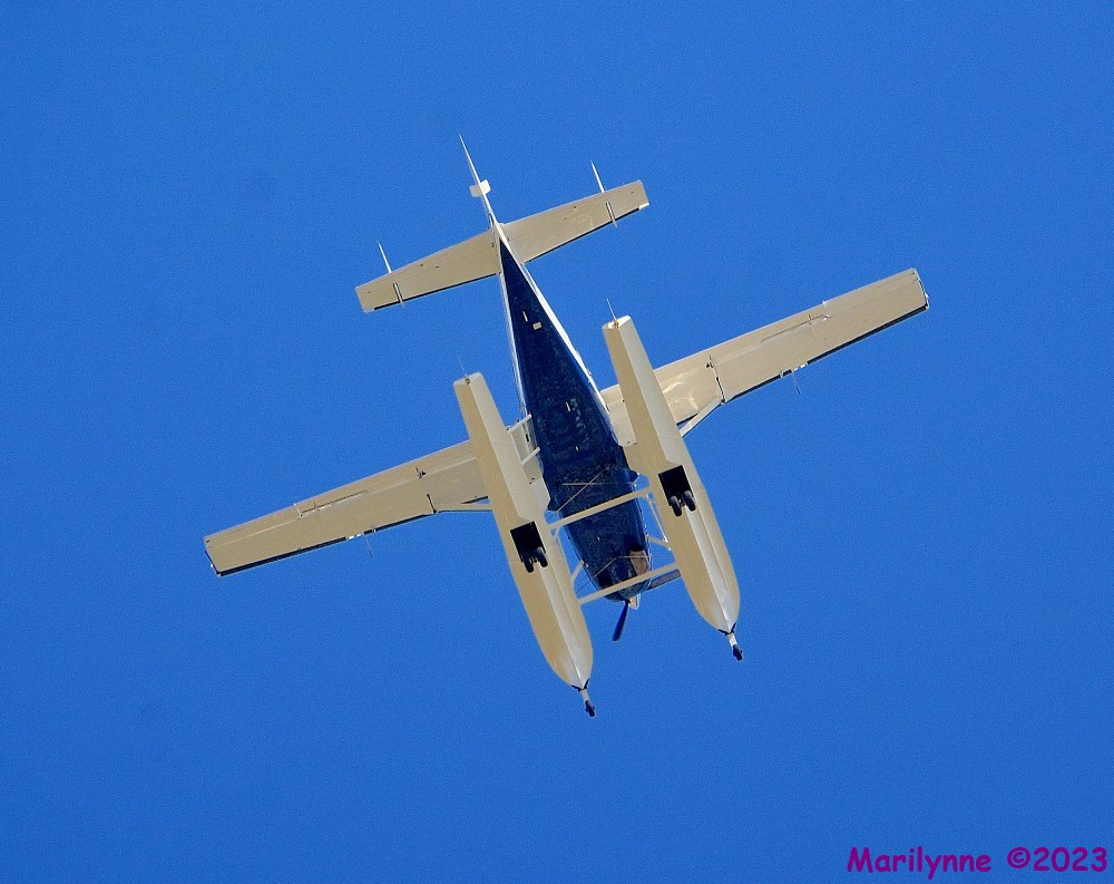 DSC_0200_001.JPG