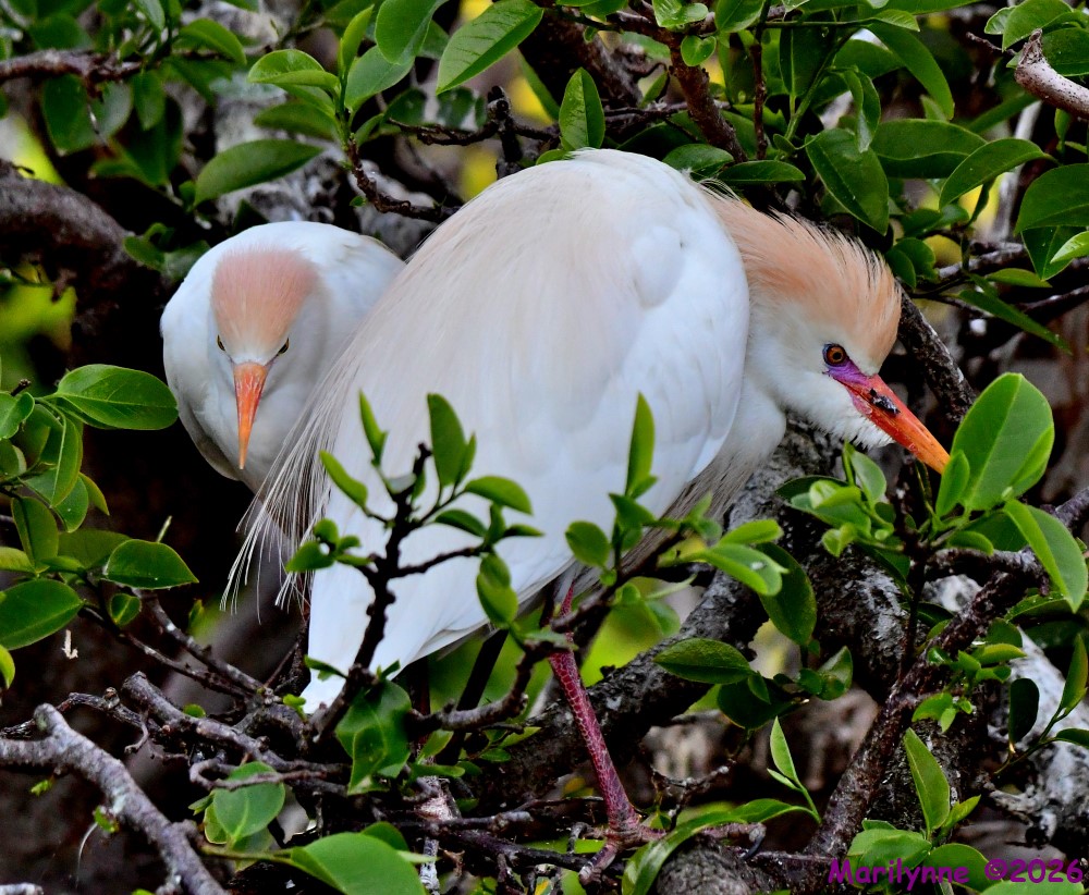 DSC_0200_001.JPG