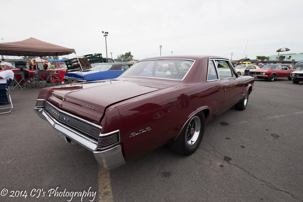 DSC_0201-2.jpg