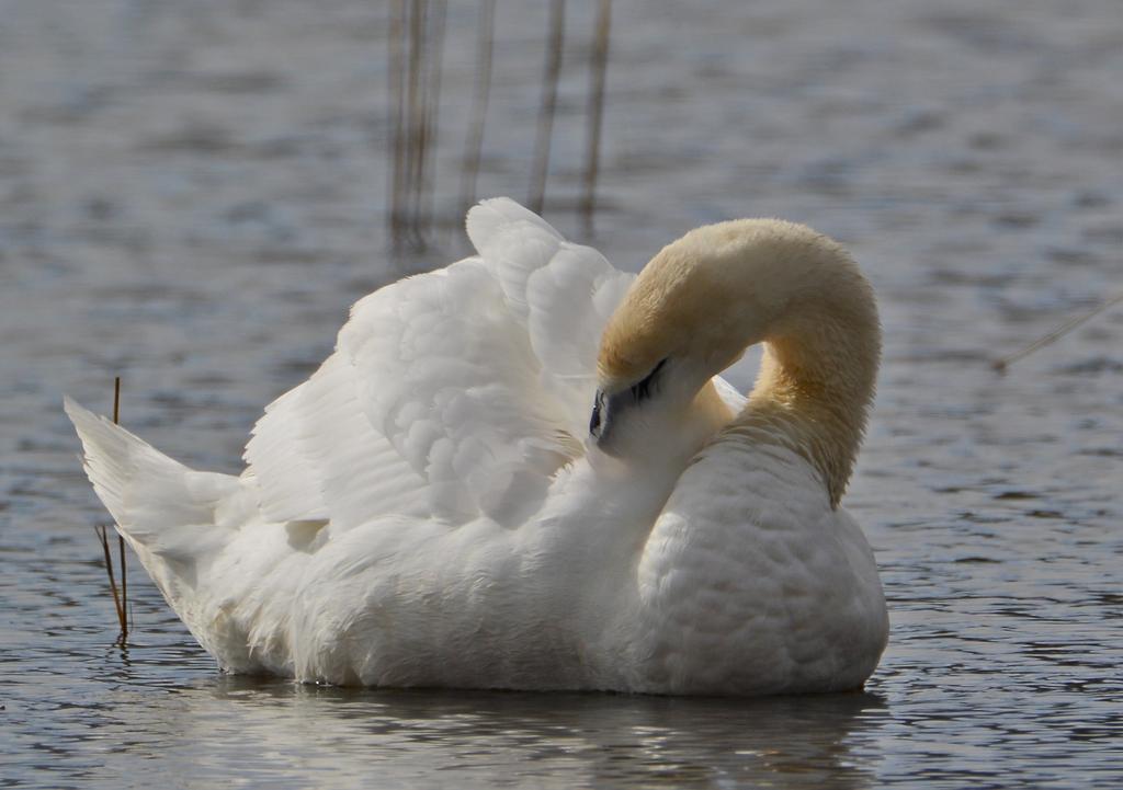 DSC_0202.jpg