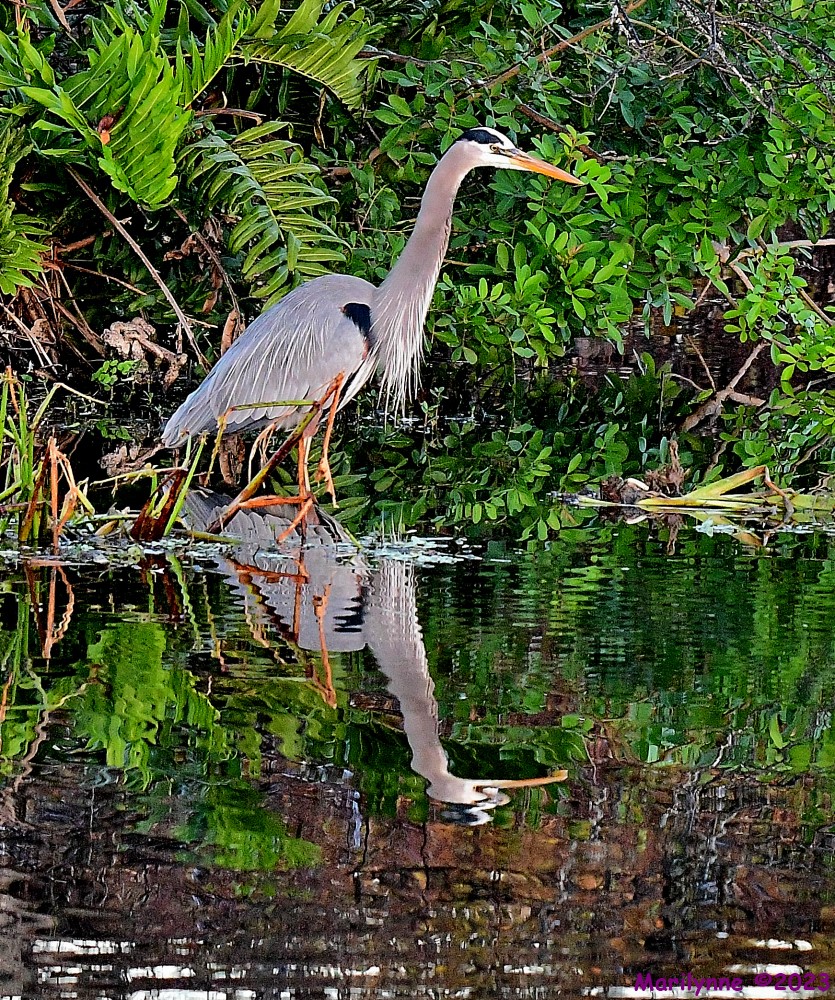 DSC_0203_001.JPG