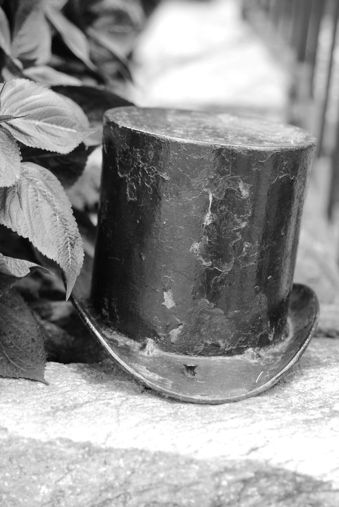 DSC_0204.jpg