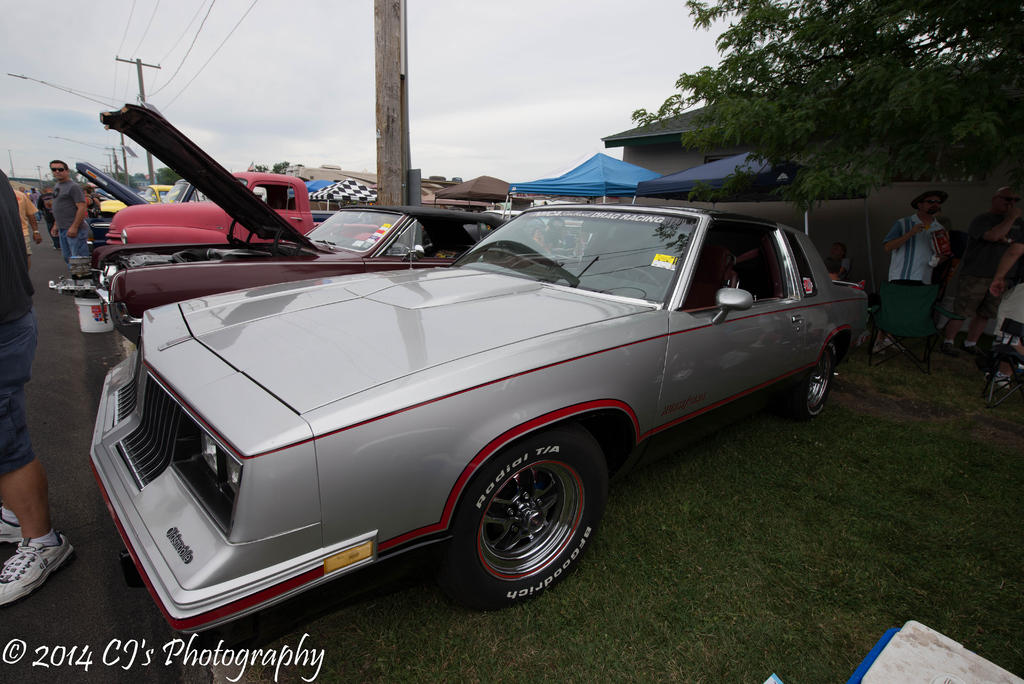 DSC_0205-2.jpg