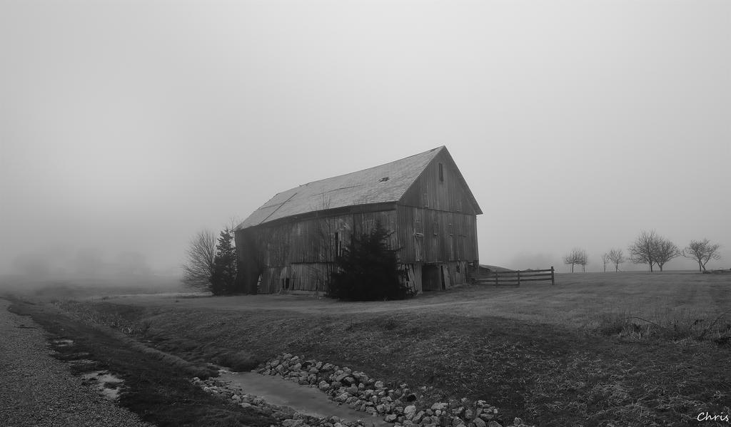 DSC_0205.jpg