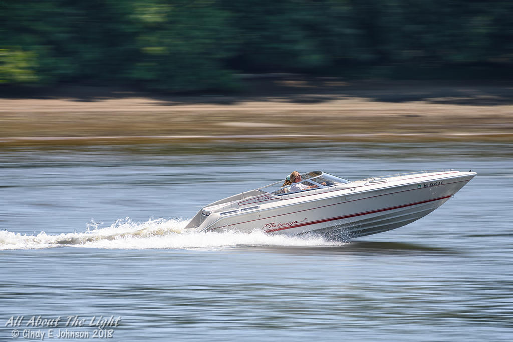 DSC_0205 Low Res.jpg