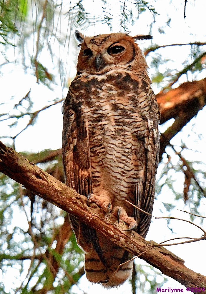 DSC_0205_001.JPG