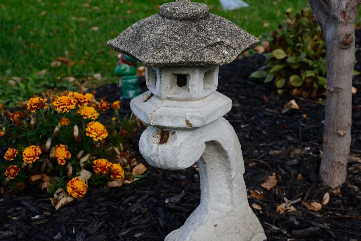 DSC_0205_3713.JPG