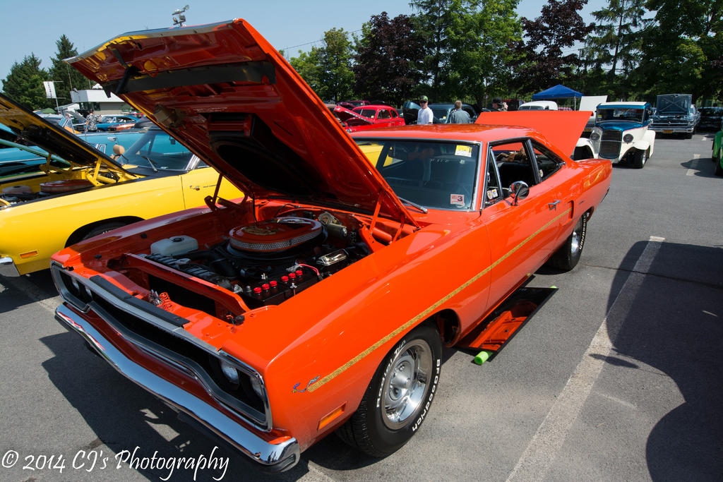 DSC_0206.jpg