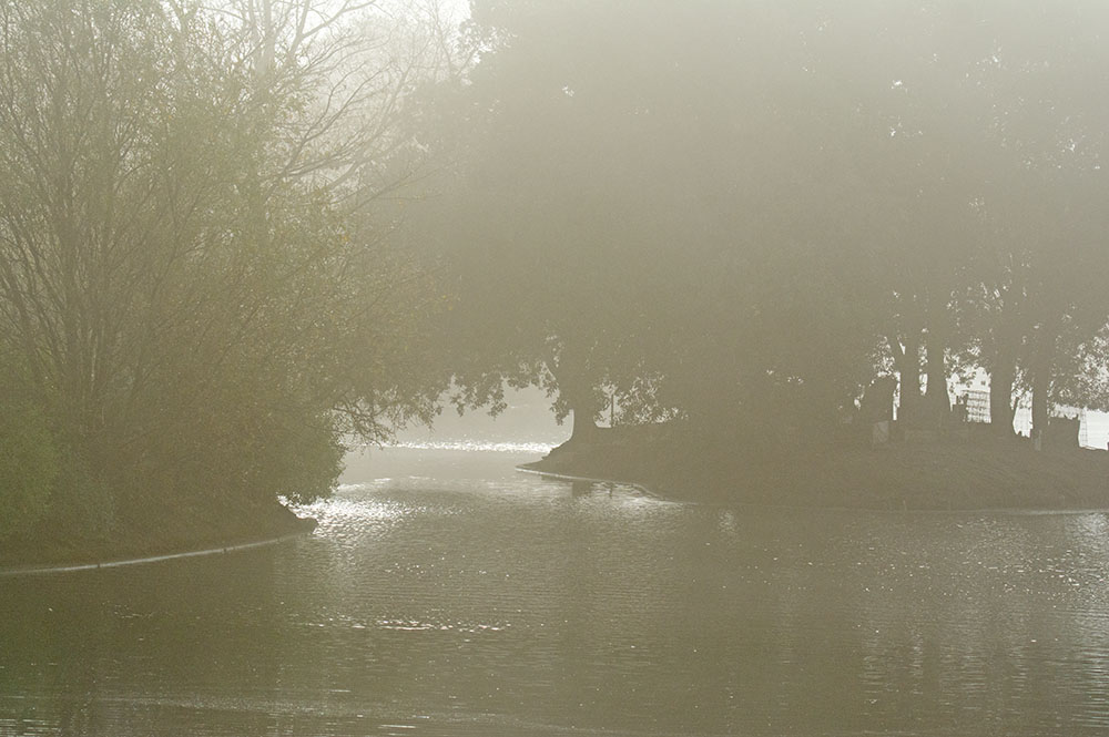 DSC_0206.jpg