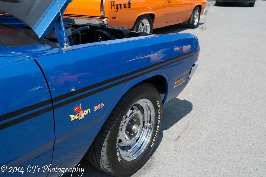 DSC_0207.jpg