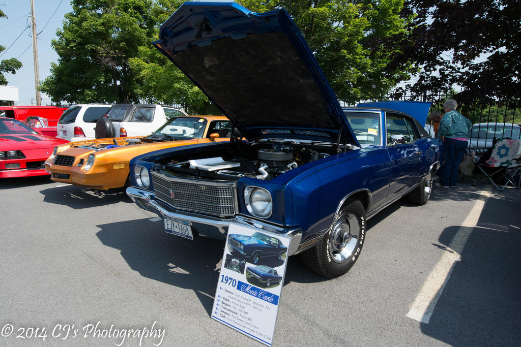 DSC_0208.jpg