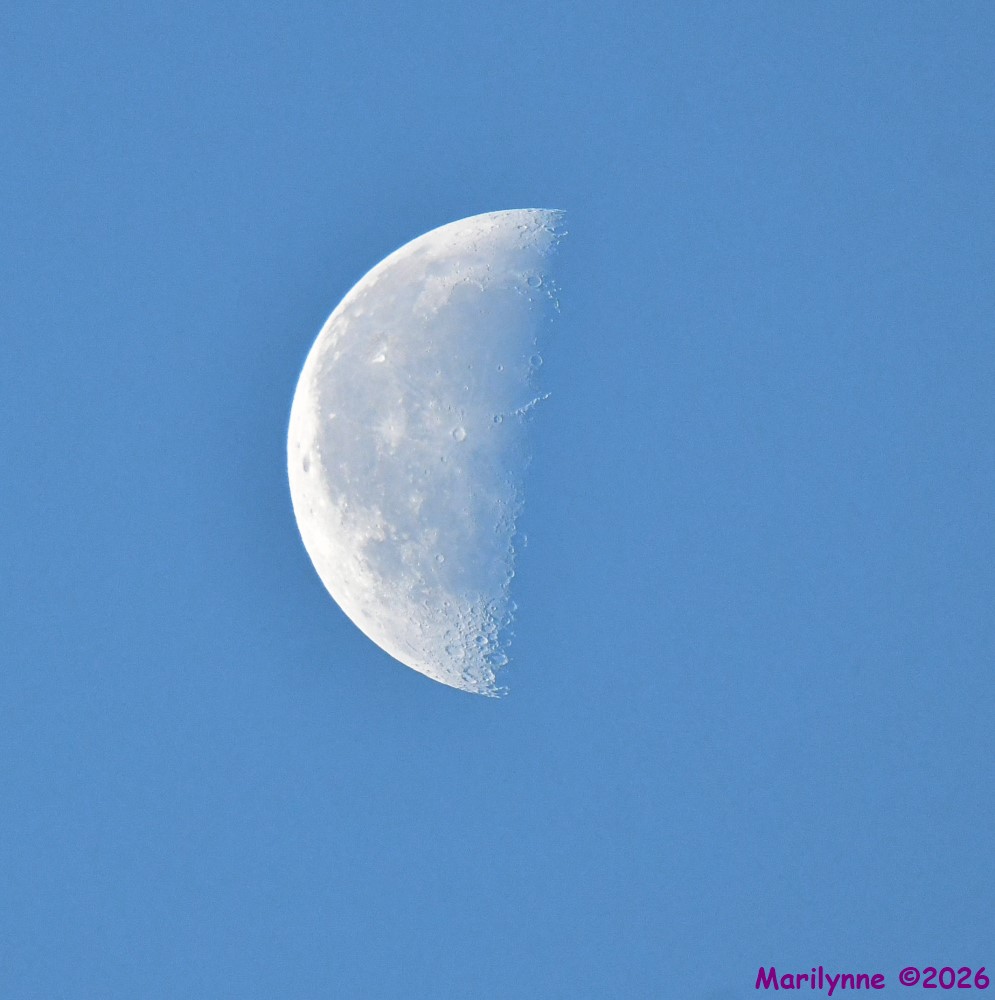 DSC_0208_001.JPG