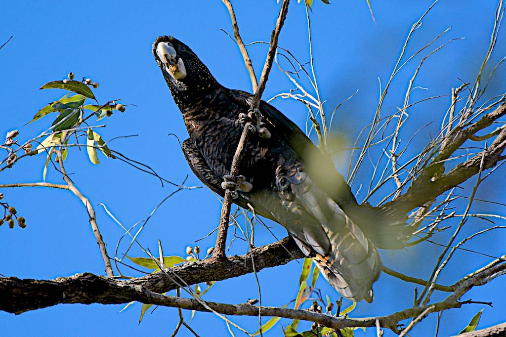 DSC_0209.jpg