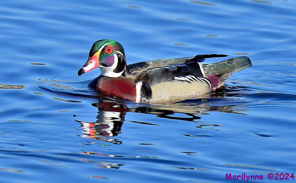 DSC_0209_001.JPG