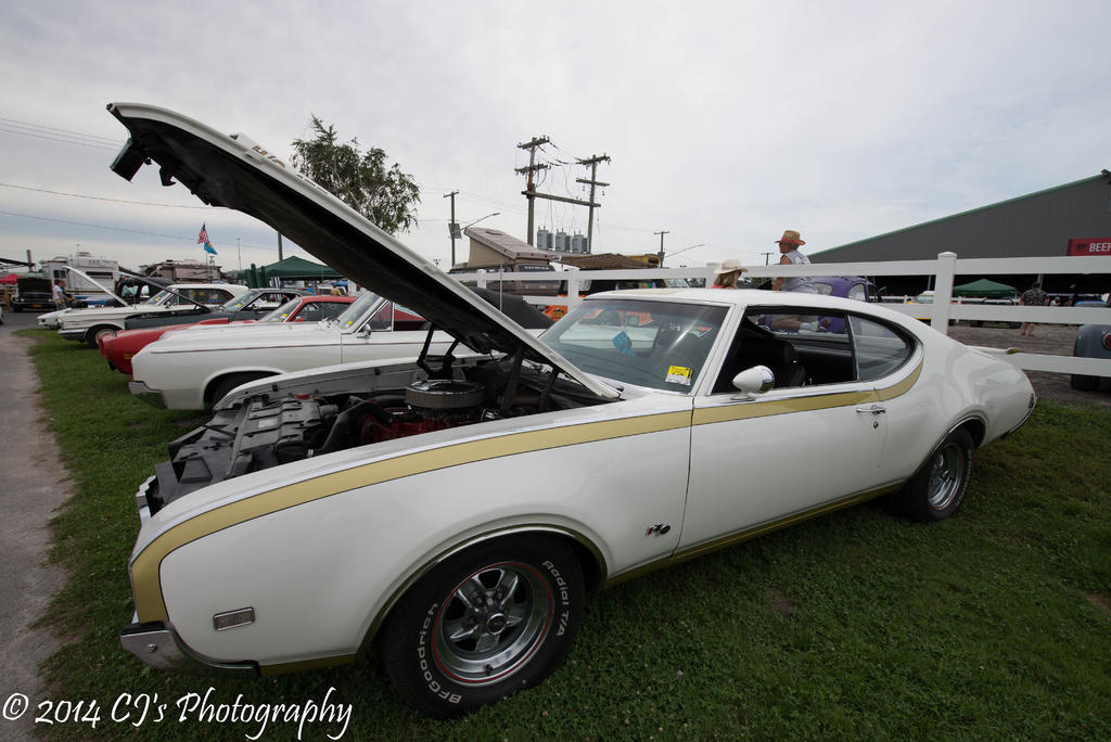 DSC_0210-2.jpg