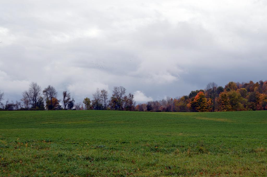 DSC_0210.jpg