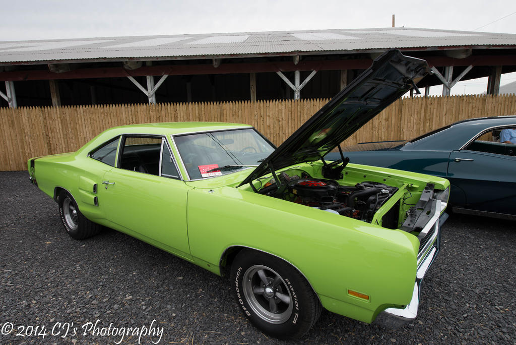 DSC_0211-2.jpg