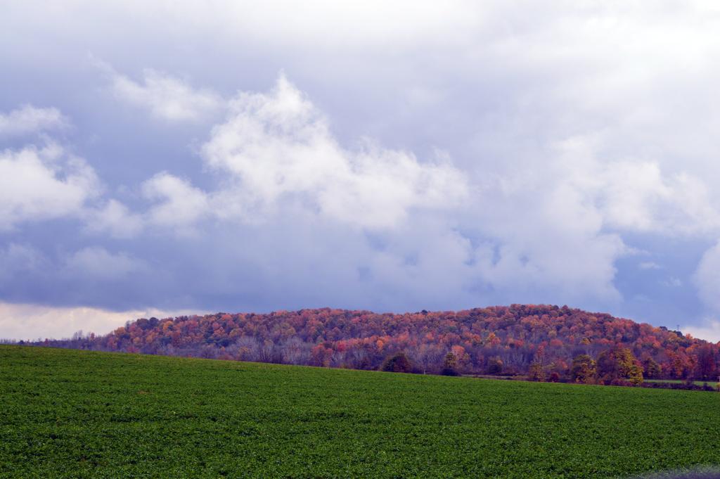 DSC_0211.jpg