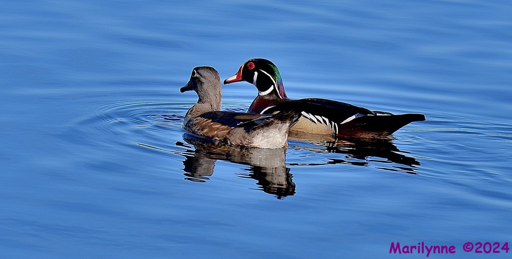 DSC_0214_001.JPG