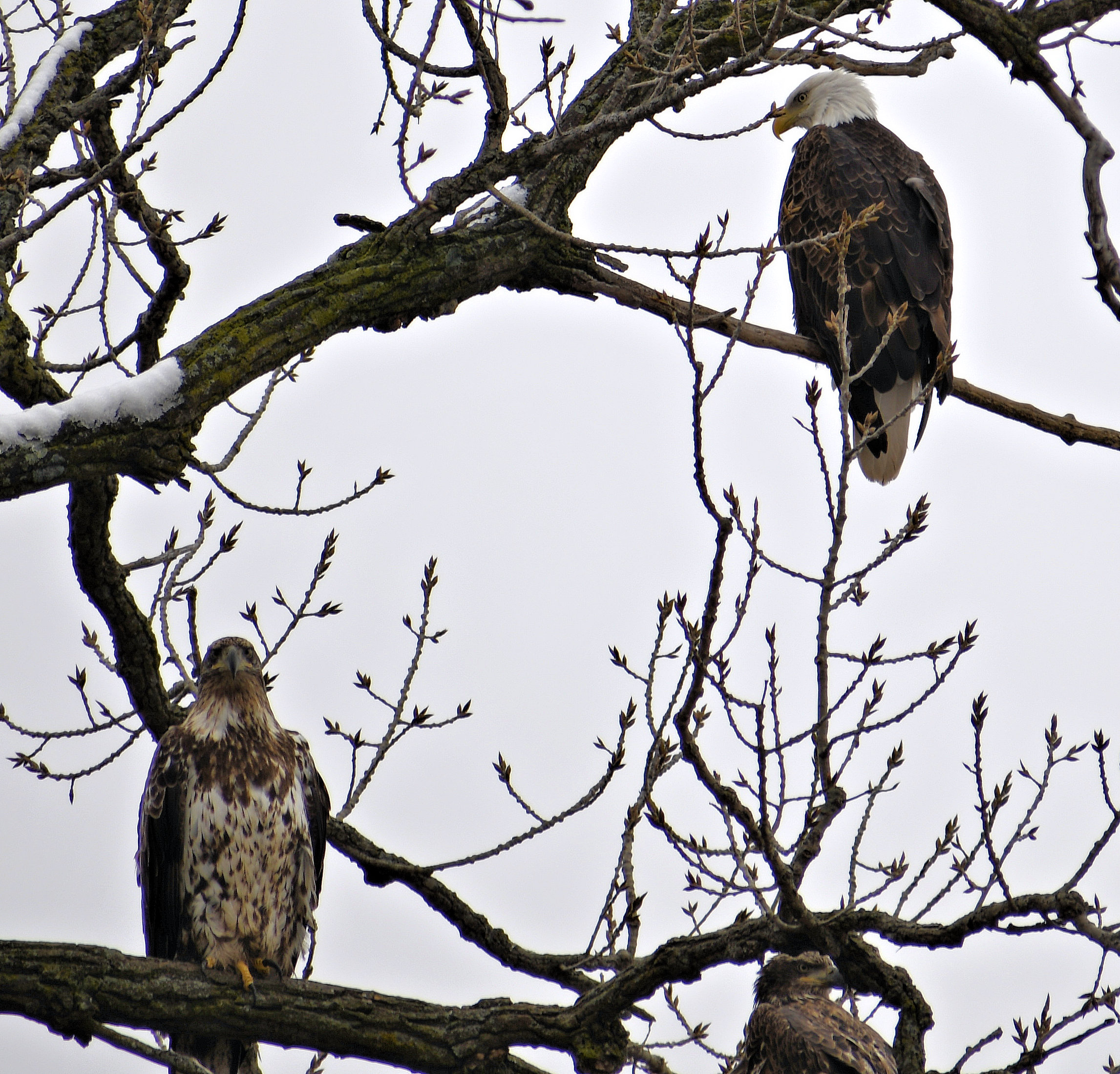DSC_0215.JPG