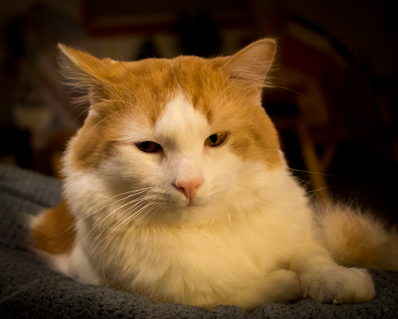 DSC_0215_9596.jpg