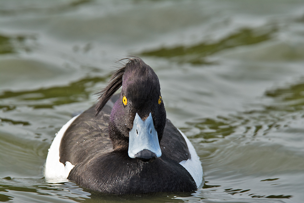 DSC_0216.jpg