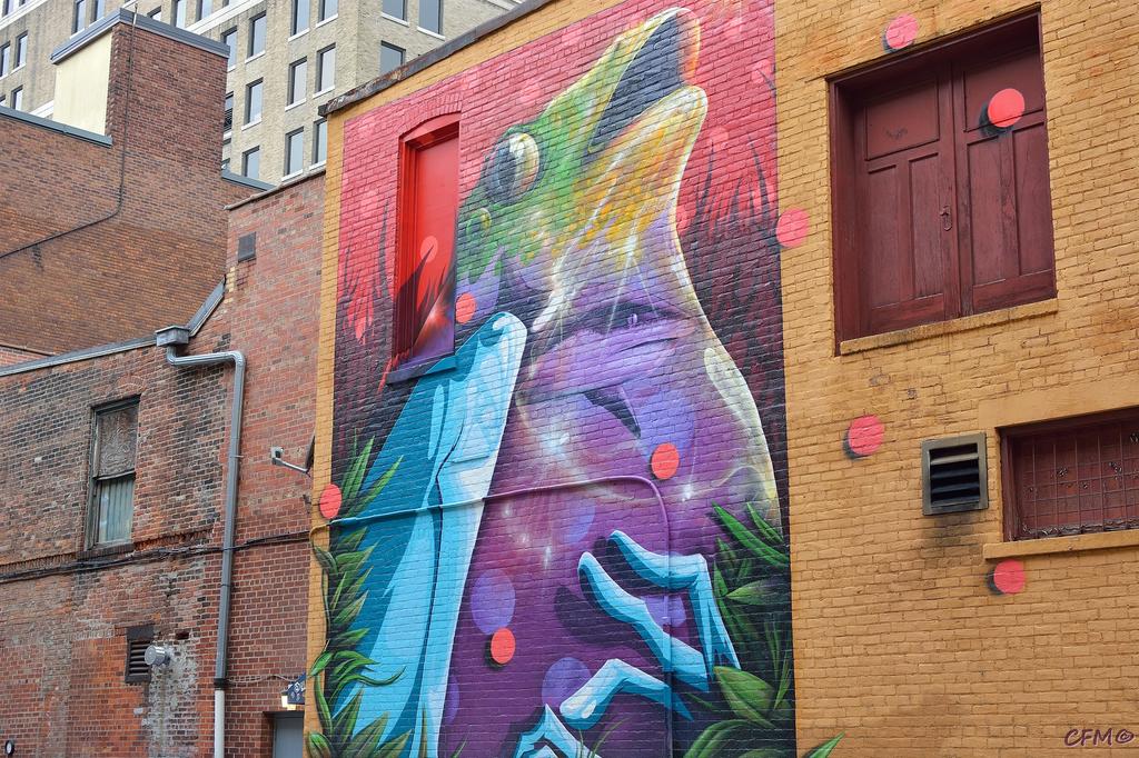 DSC_0216 nxd.jpg
