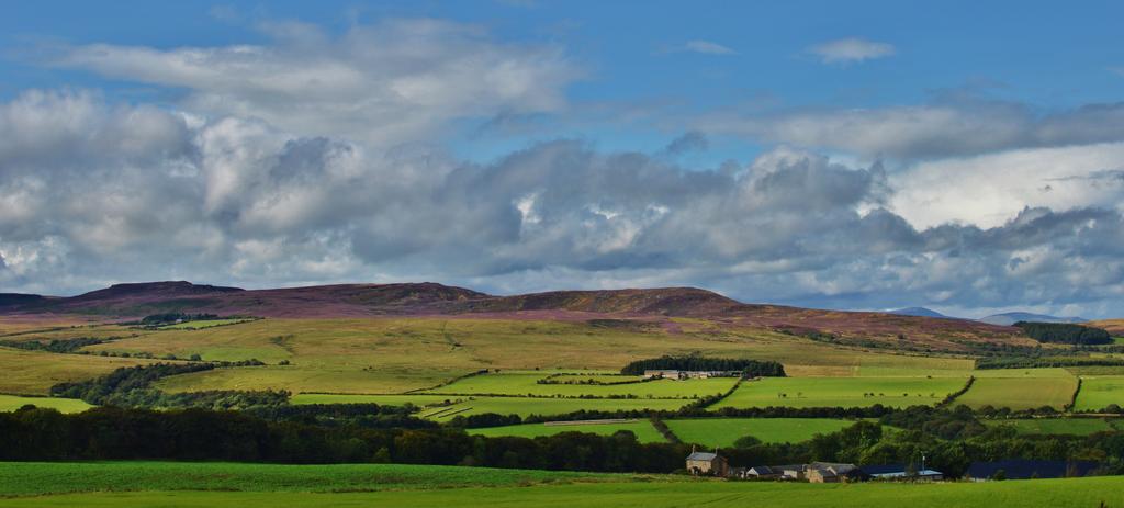 DSC_0218.jpg